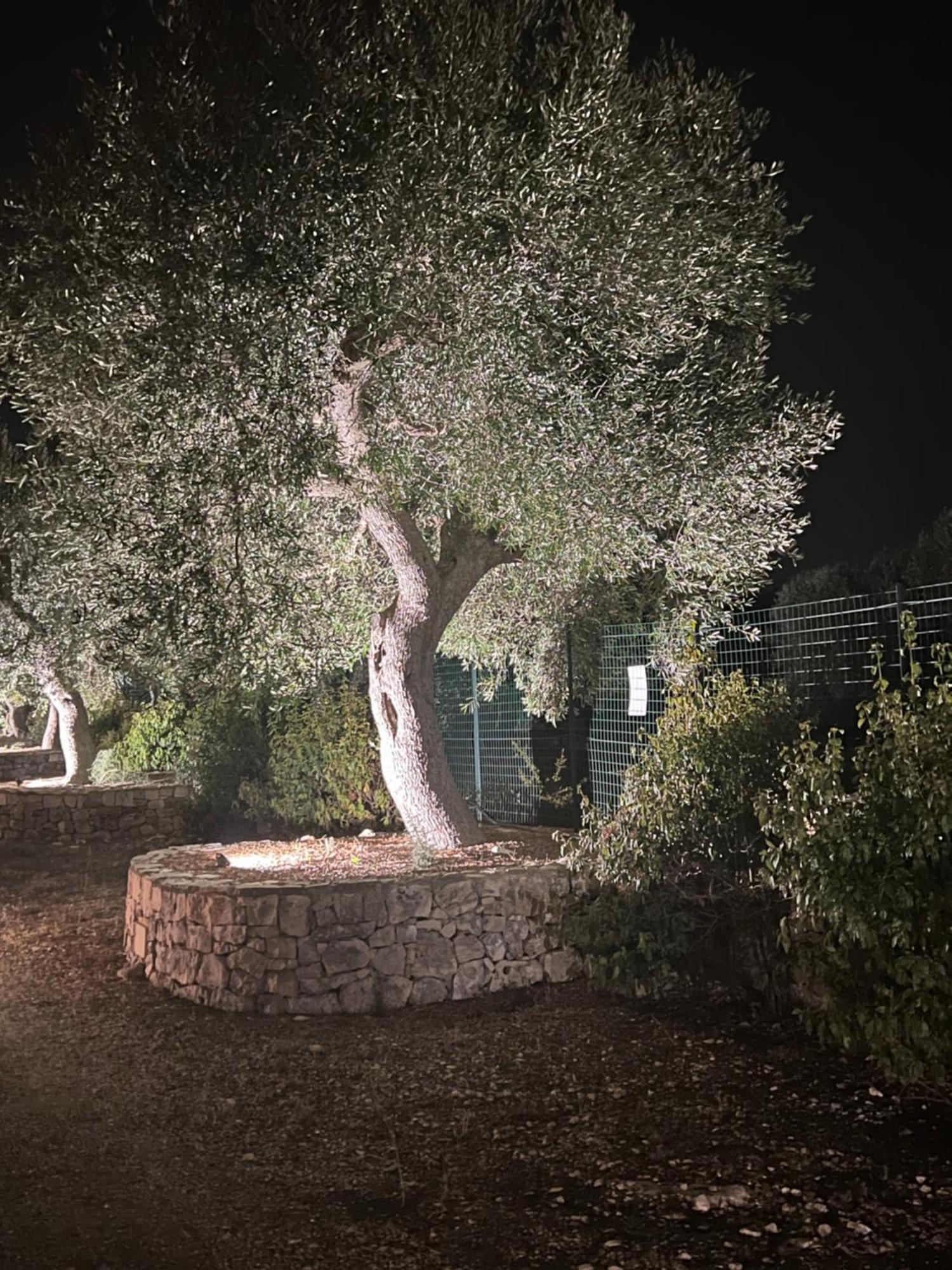 Trullo Tita Villa Monopoli Exterior photo